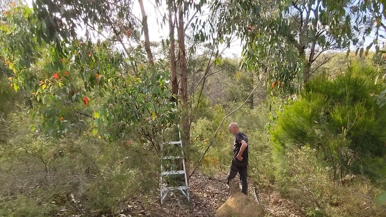 possum Soft release