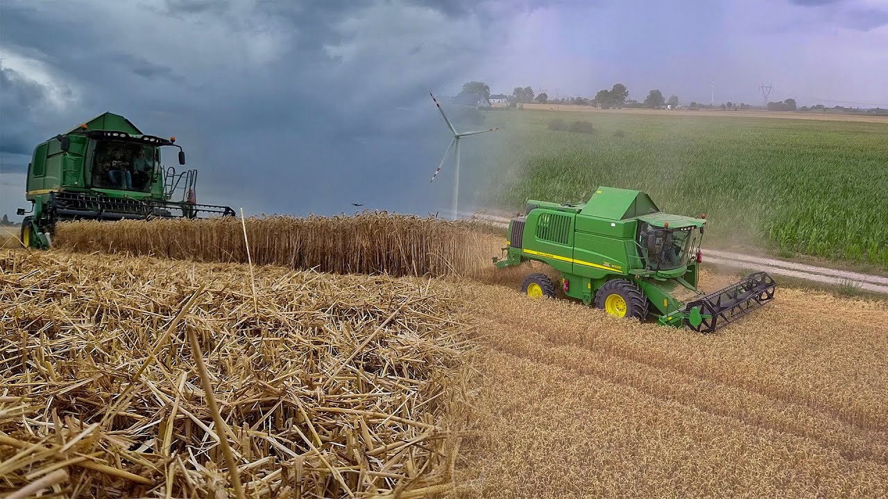 John Deere W540 | Żniwa Pszenicy 2023 | Trudne Warunki Pogodowe |