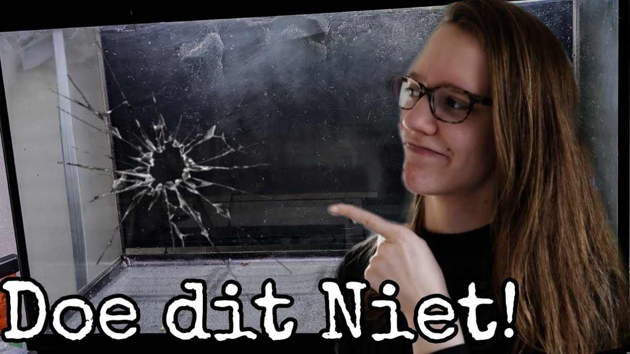 Zo gaat jouw AQUARIUM LEKKEN?! En hoe je het voorkomt! //Nickey//