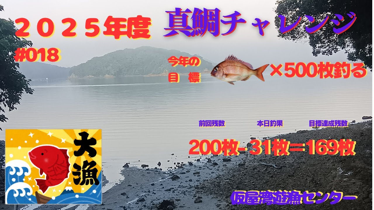 2025年   第18回釣行　仮屋湾遊漁センター　　真鯛31枚、シマアジ３匹、ネリゴ３匹の釣果でした！小鯛・大鯛の釣れる場所が、ハッキリ分かれてました！
