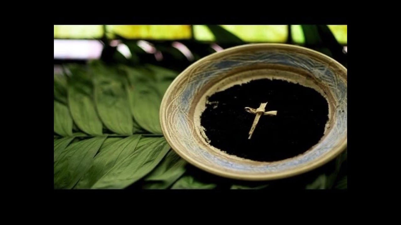Psalm 51 (Catholic Book of Worship III 41): Have mercy on us, Lord, for we have sinned. 