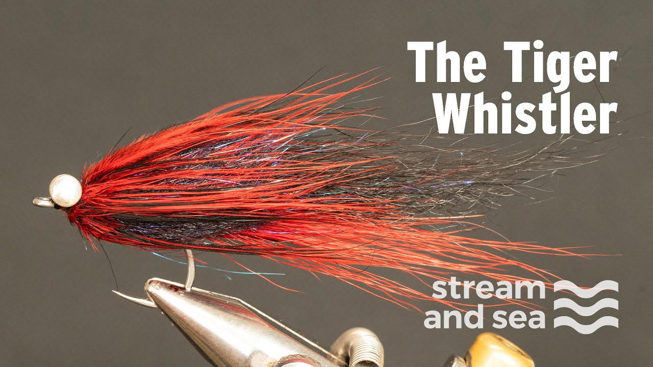 How to Tie a Tigerfish Whistler | Proven Streamer Fly Tying Tutorial