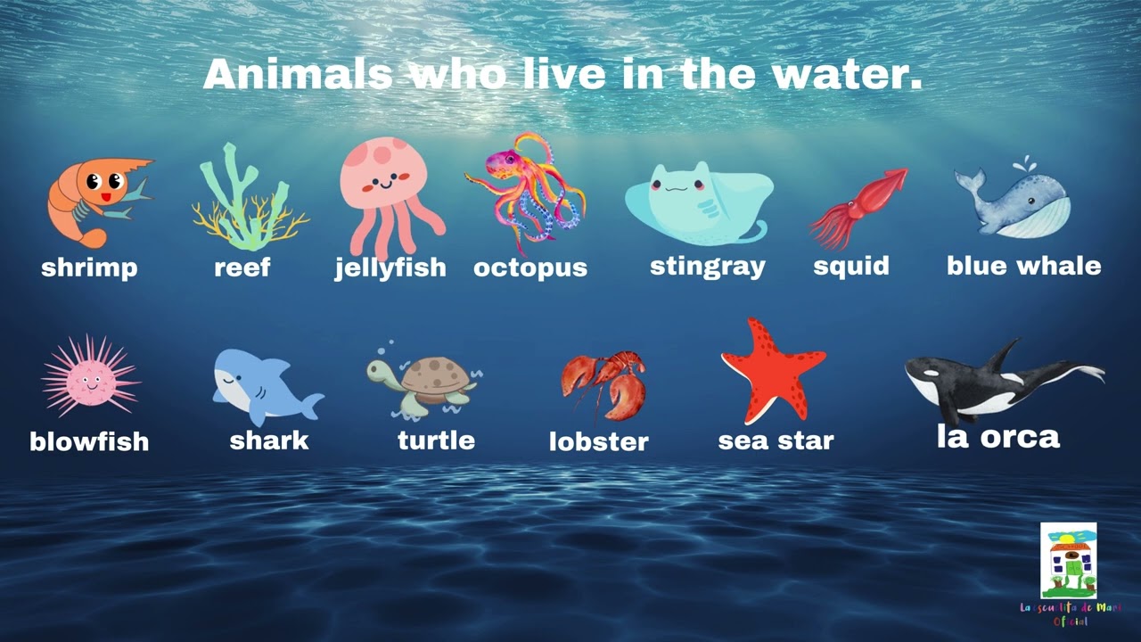 Aprende Ingles facil y rapido! hoy aprenderas algunos nombres de animales marinos en Ingles.