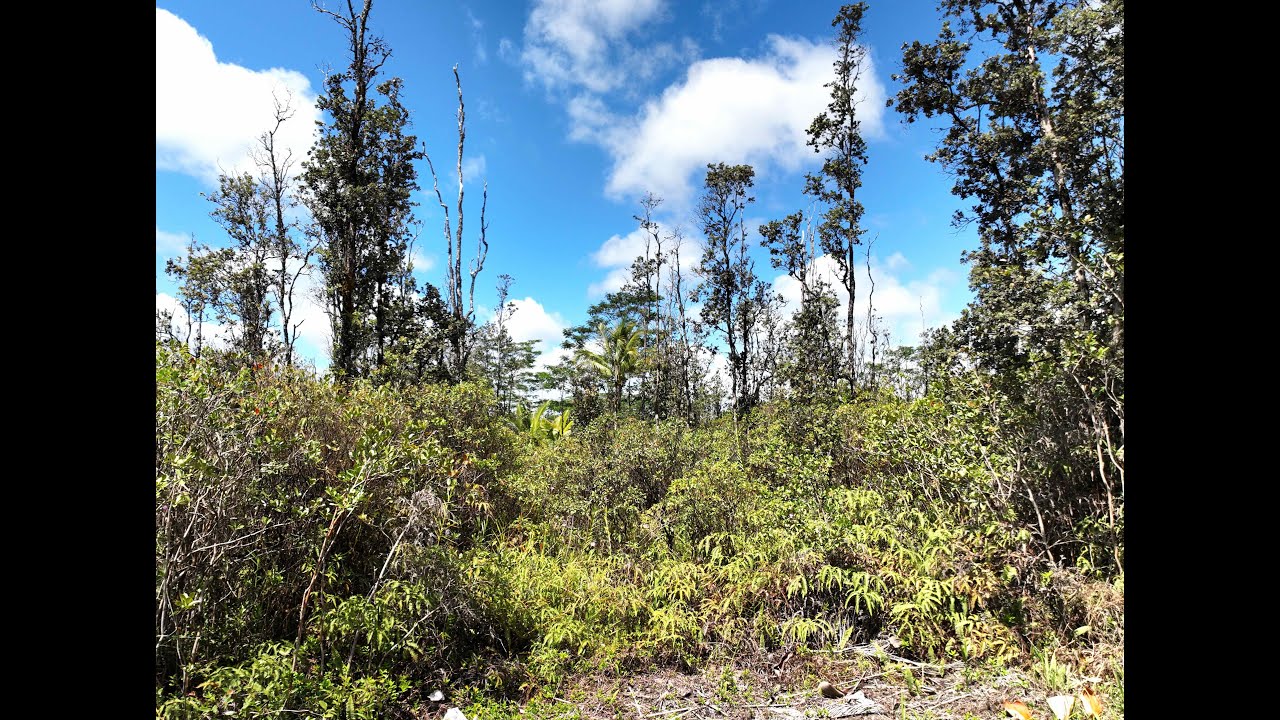 Orchid Land Estates Lot 33, Kea'au, Island of Hawaii