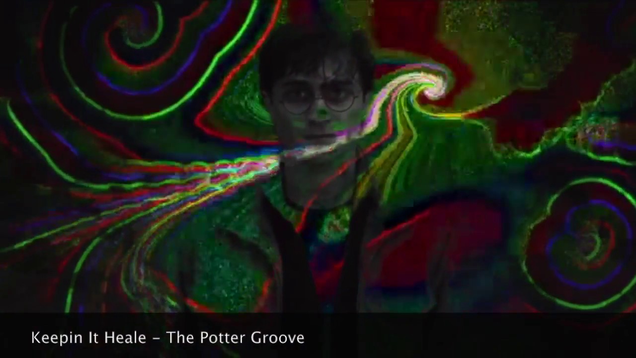 Keepin It Heale - The Potter Groove