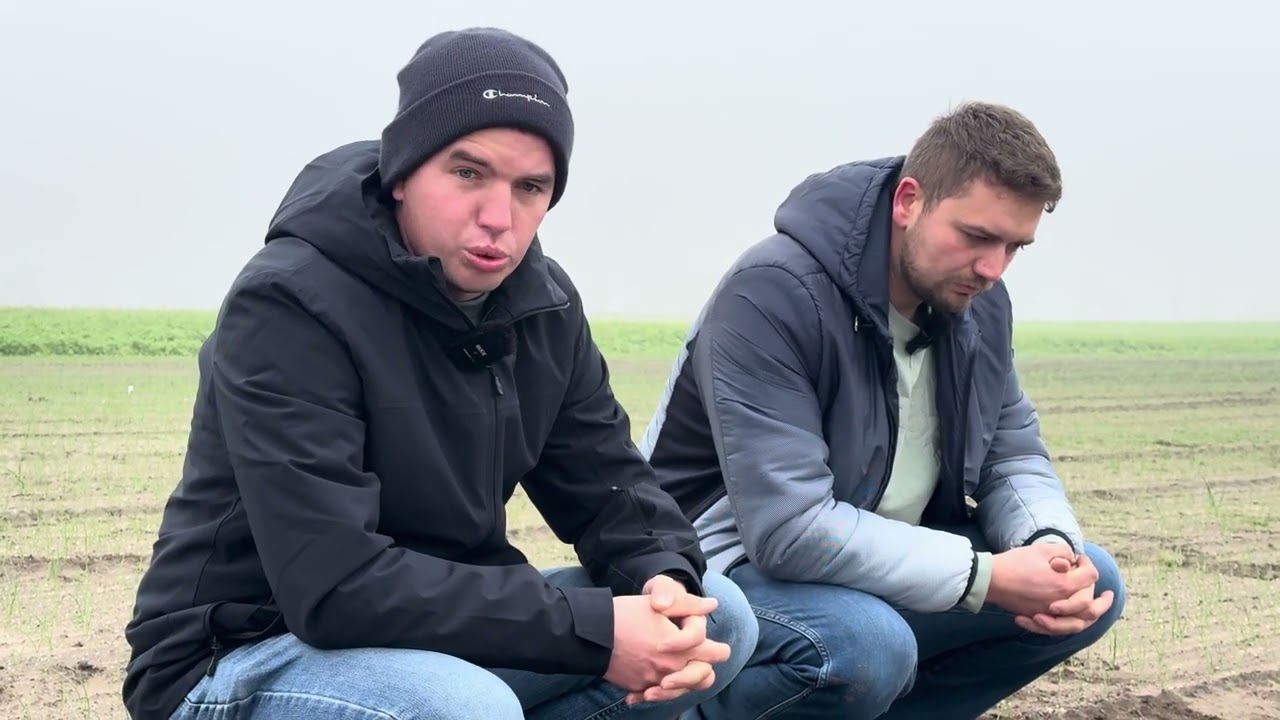 PSZENICA CEBULA OZIMA I RZEPAK Wojtek i Mateusz w polu...