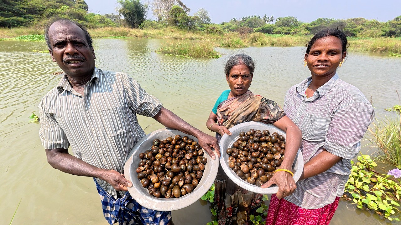 குடும்பத்தோடு ஆற்றுக்குள்ளே அழகான இடத்தில் நத்தை வேட்டை ,