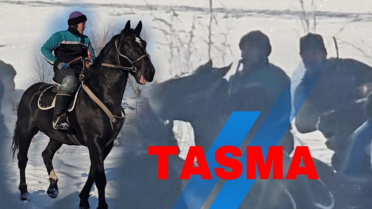Акжол балбан Тасма менен 💥💥💥