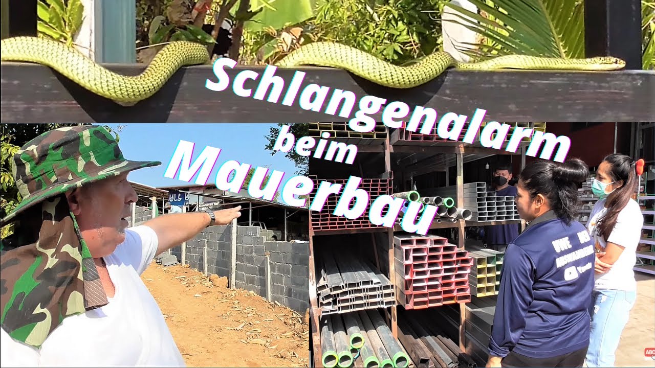 Thailand Ausgewandert. Mauer fertigstellen, Schmuckbaumnatter, Stahl kaufen in Kham Phoem.