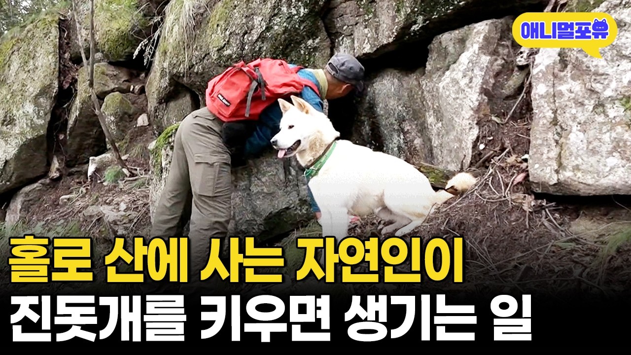 깊은 신속 유일한 동거견! 진돌이와 ㄹㅇ 자연인 라이프 즐기는 아저씨ㅣKBS 굿모닝 대한민국 200918 방송