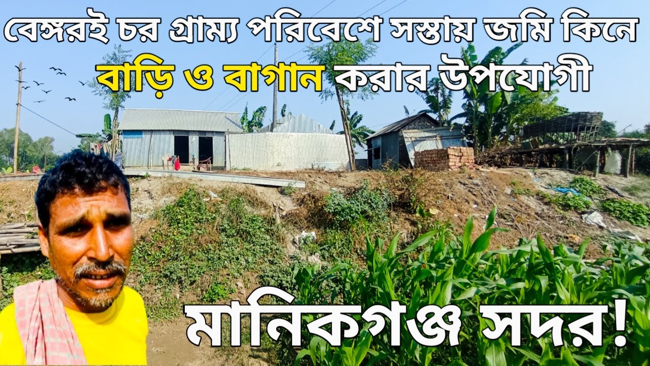 মানিকগঞ্জের বেঙ্গরই চর কম দামে জমি কিনে স্বল্প আয়ের মানুষ তার স্বপ্নের বাড়িও বাগান করতে পারেন! bd