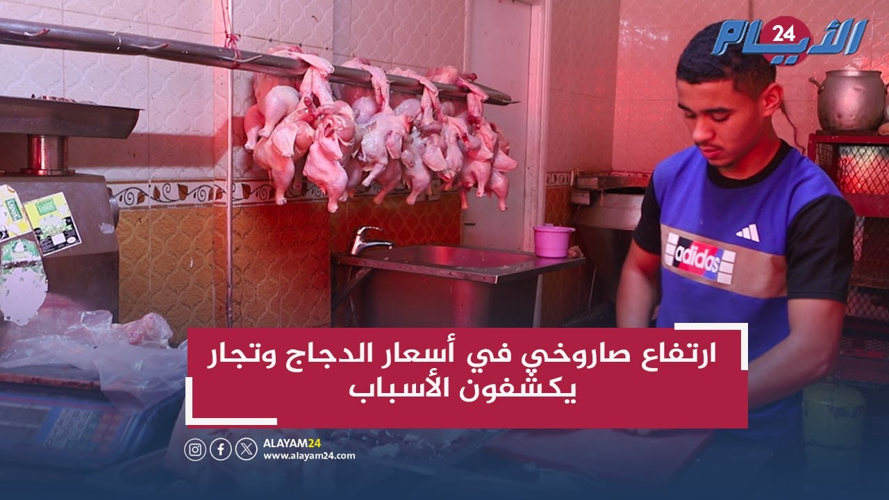 ارتفاع صاروخي في أسعار الدجاج وتجار يكشفون الأسباب