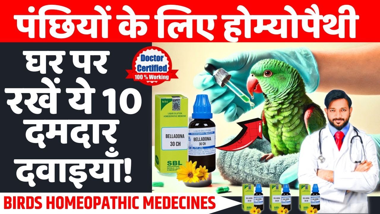 घर पर रखे ये 10 दमदार होमीओपैथक दवाइयाँ  Homeopathy Medicine For Birds