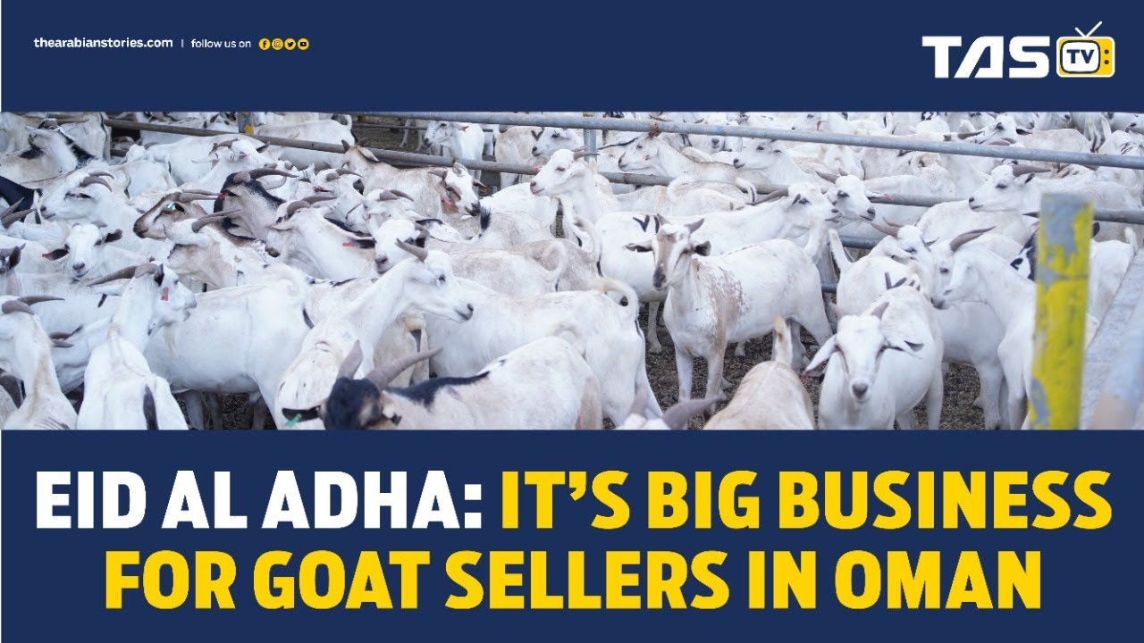 Eid Al Adha: It’s big business for goat sellers in Oman | TAS TV | The Arabian Stories