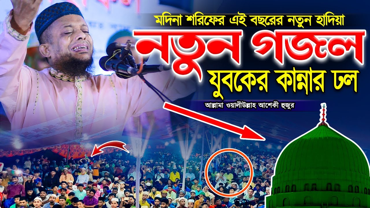 মদিনা শরিফের এই বছরের নতুন গজল যুবকের কান্নার ঢল | waliullah aseki | sunnah network