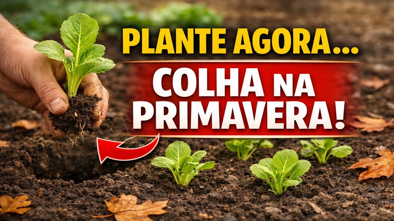 Plante isto no outono e colha tudo já na primavera! Vinte plantas perfeitas para jardineiros impaci