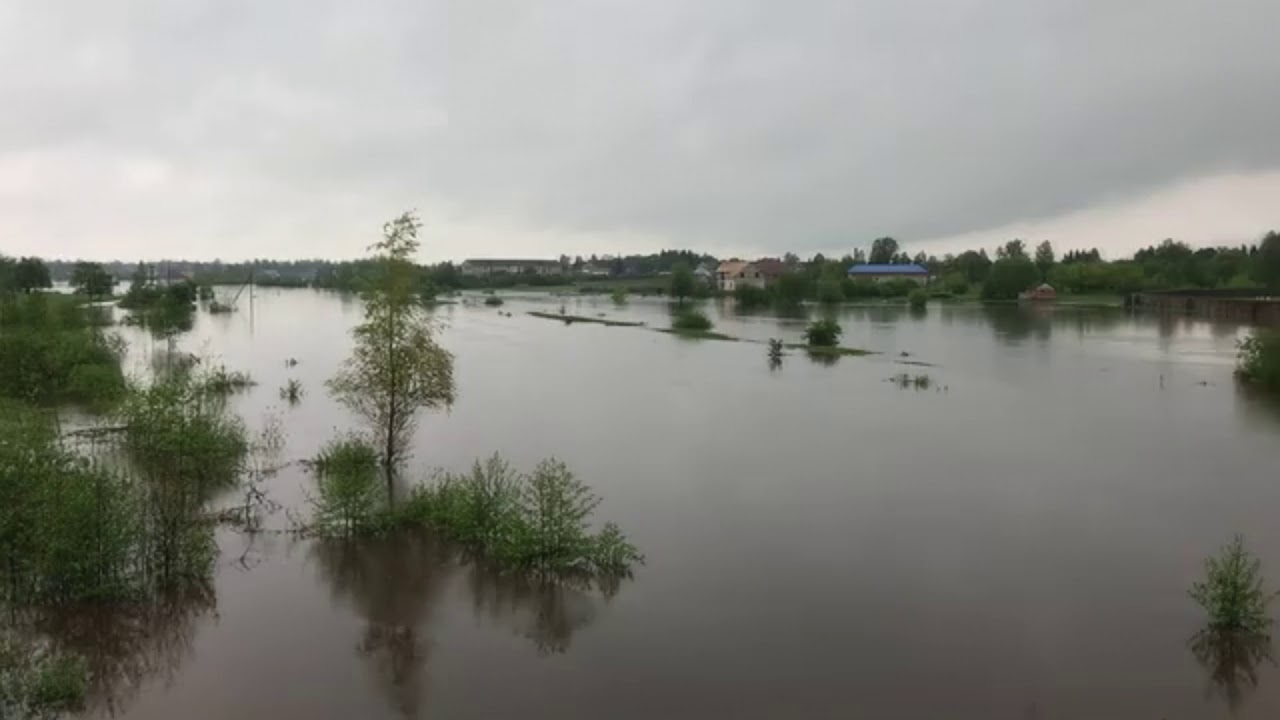 Північ Рівненщини потерпає від негоди
