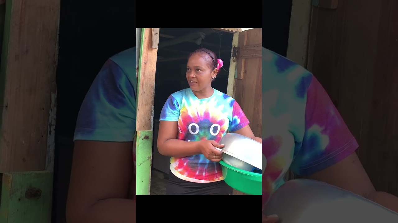 LE LLEVO EL PERITO A LA SUEGRA 