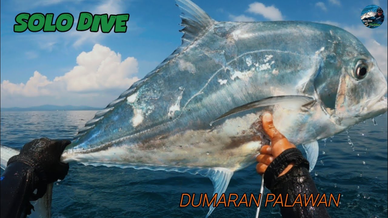 spearfishing 🇵🇭 the power of 6🐟