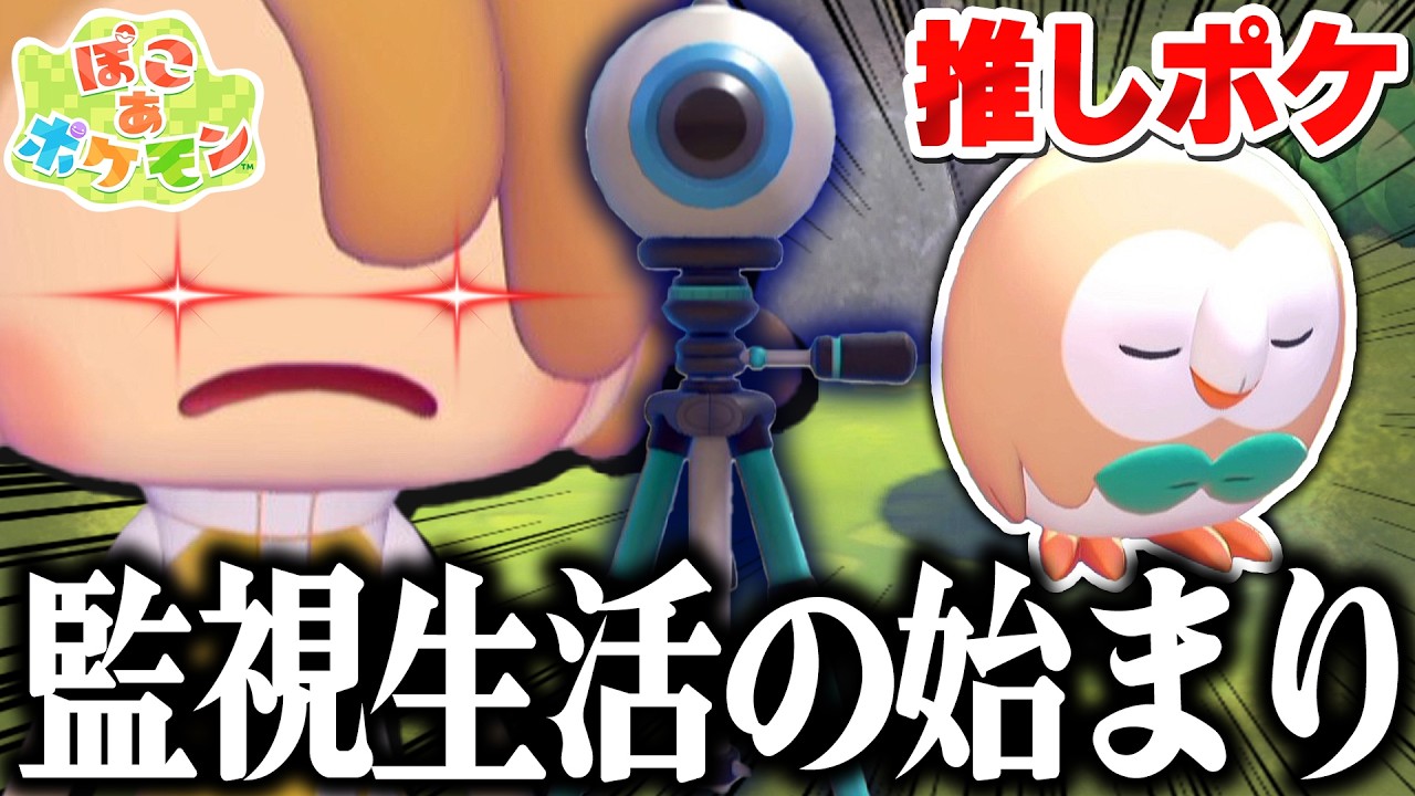 【ぽこポケ】推しポケ監禁！ついにモクローの捕まえ方を見つけたぞ…【ぽこあポケモン】Pokémon Pokopia