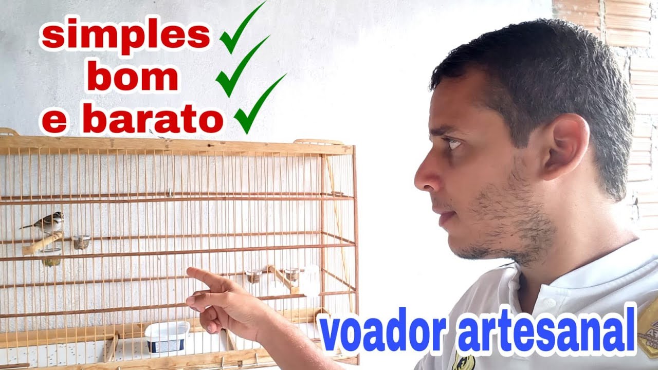 coloquei meu tico tico valente no voador artesanal.