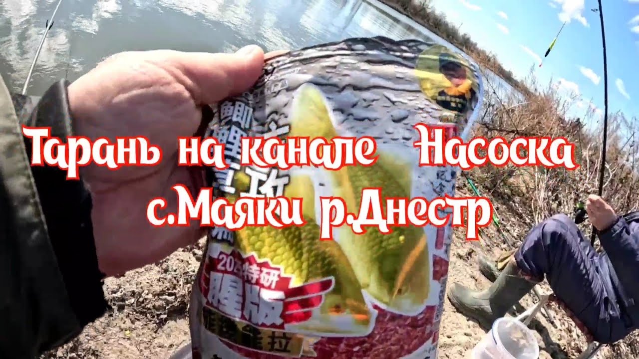 Рыбалка на канале 