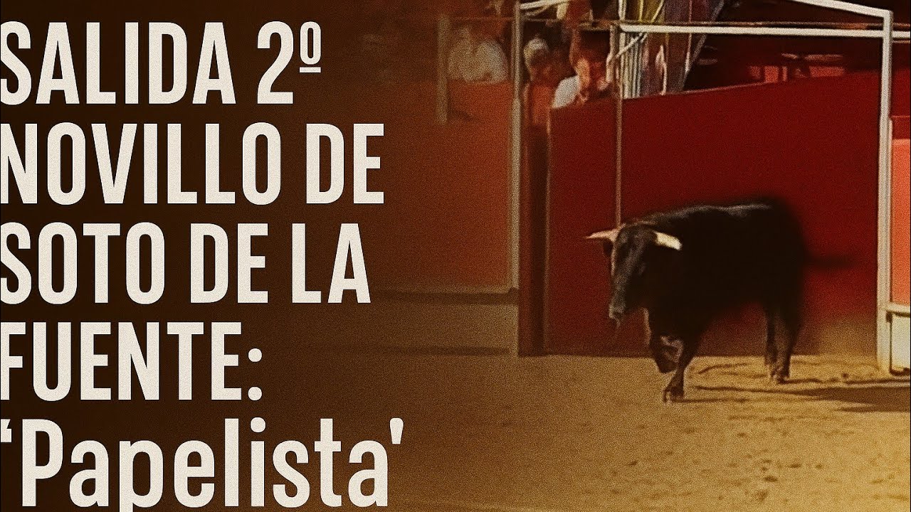 SALIDA 2° NOVILLO DE  SOTO DE LA FUENTE:  
