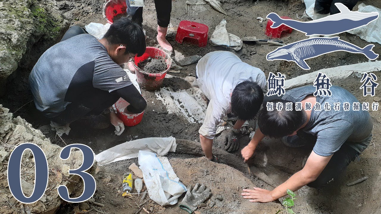 鯨魚化石爆裂!發掘隊員面對駭人的巨大挑戰!傳說中的「裹屍布」是古生物復活的關鍵!?《鯨魚谷:恆春頭溝鯨魚化石發掘紀行》第一季EP. 3:裹屍布The Shroud