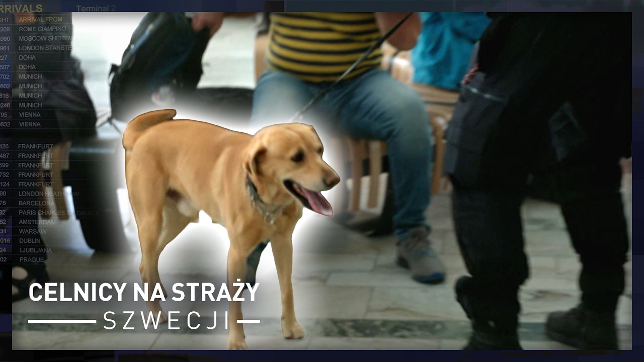 Zatrzymali starszych mężczyzn na granicy. Mieli litry alkoholu | Celnicy na straży Szwecji