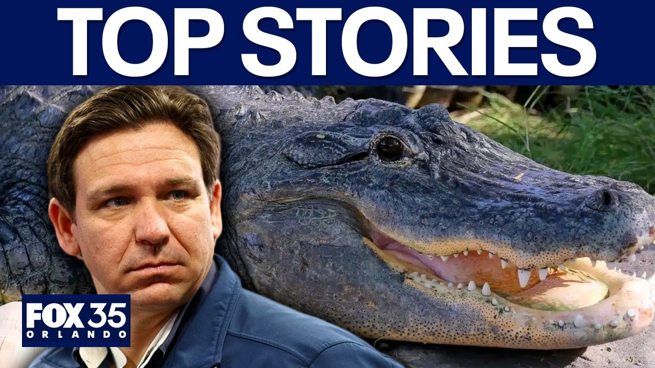 LIVE: Inside the Florida budget | 3 Alligator attacks in a week, what's going on?