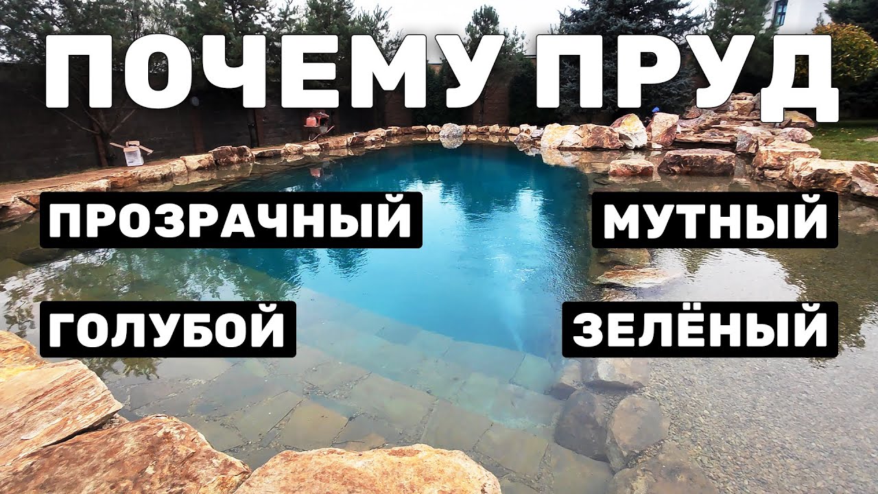 КАКАЯ ВОДА У РАЗНЫХ ТИПОВ ПРУДОВ? Причины загрязнения и способы очистки водоёмов