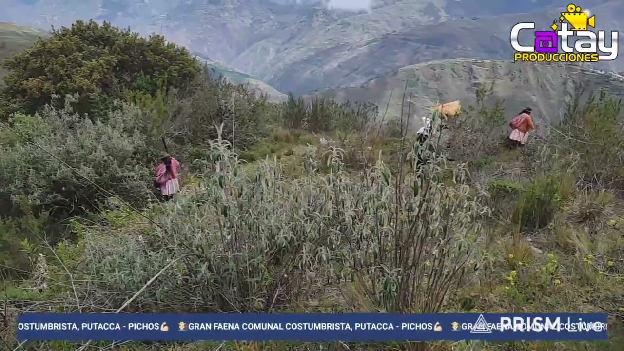 GRAN FAENA COMUNAL C.C. PUTACCA  APERTURA TROCHA CARROZABLE - PICHOS (2026)