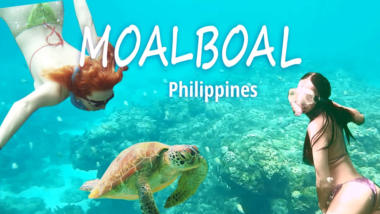 3 days of adventure in Moalboal, Philippines