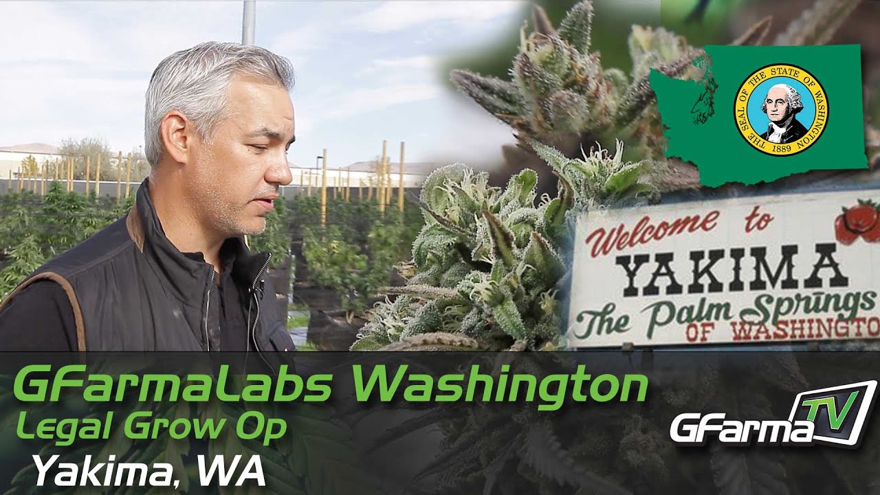 GFarmaLabs Washington Grow Op
