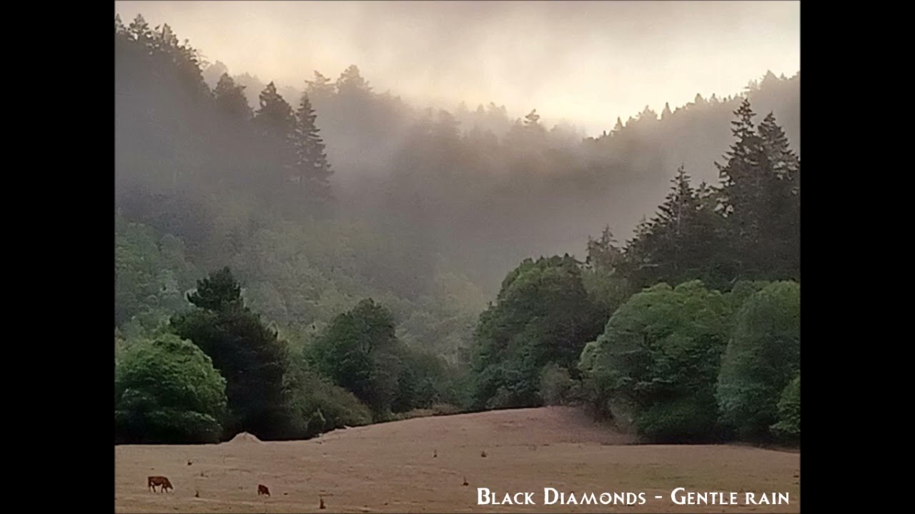 Black Diamonds - Gentle rain