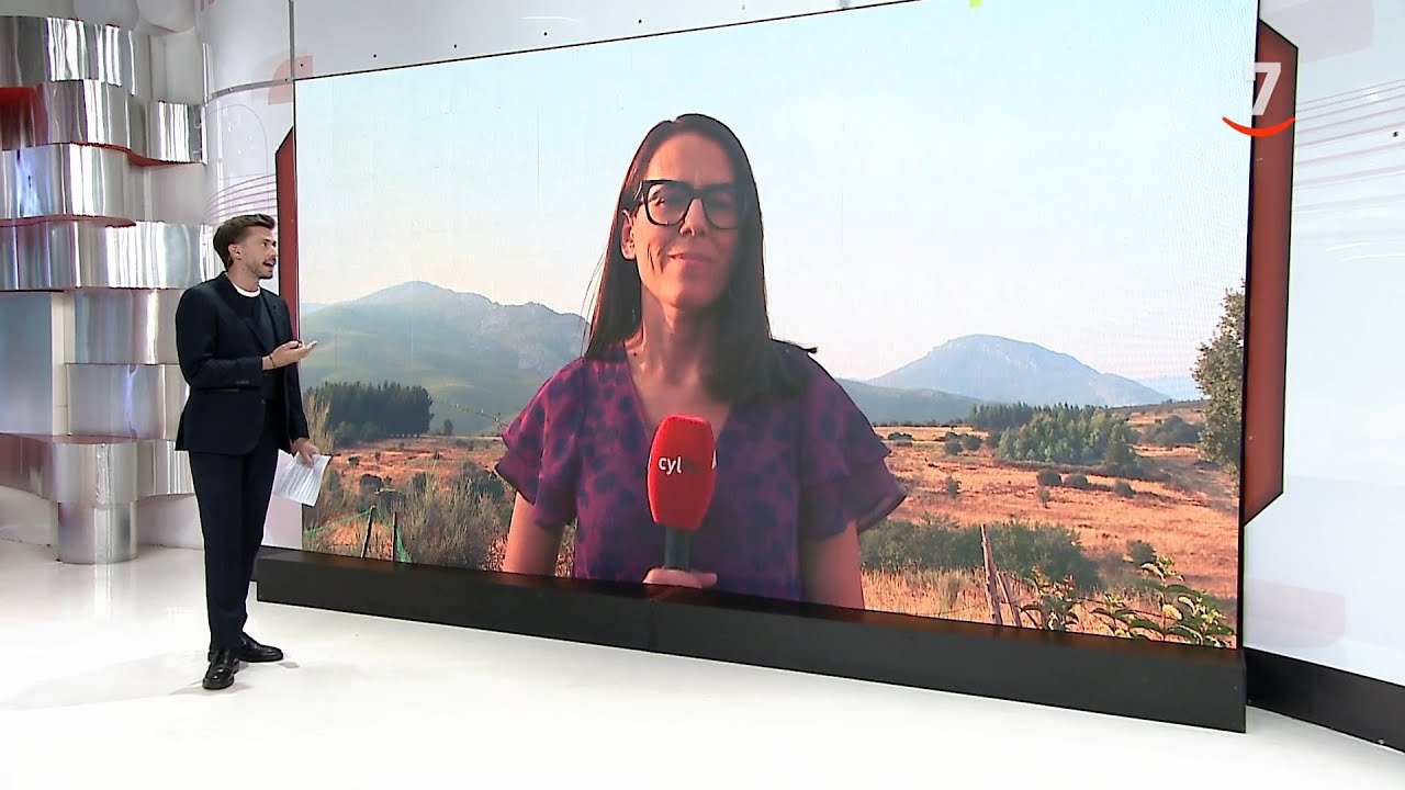 CyLTV Noticias 