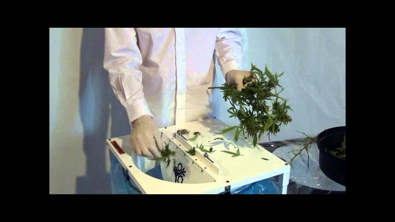 Home Video Trimpro Stem Cutter MJ