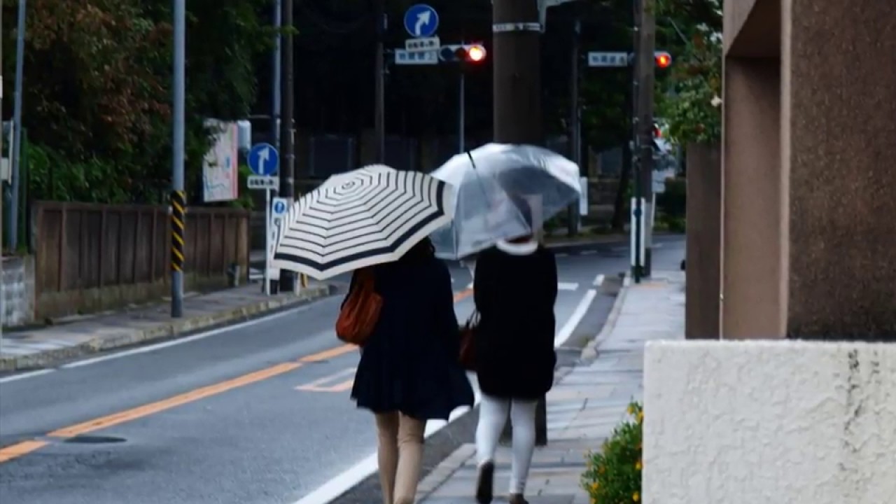 並木の雨(昭和9年）ミス・コロムビア