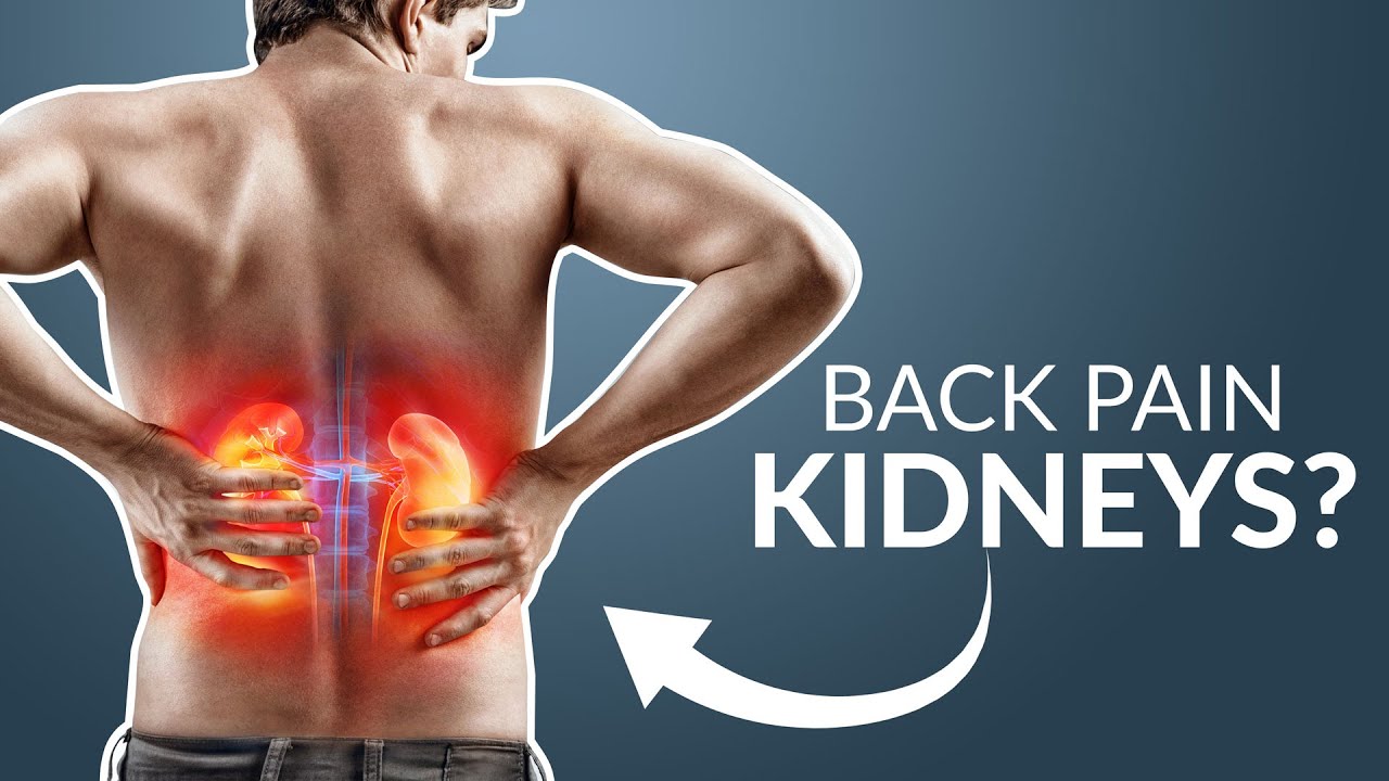Could your back pain be KIDNEYS?