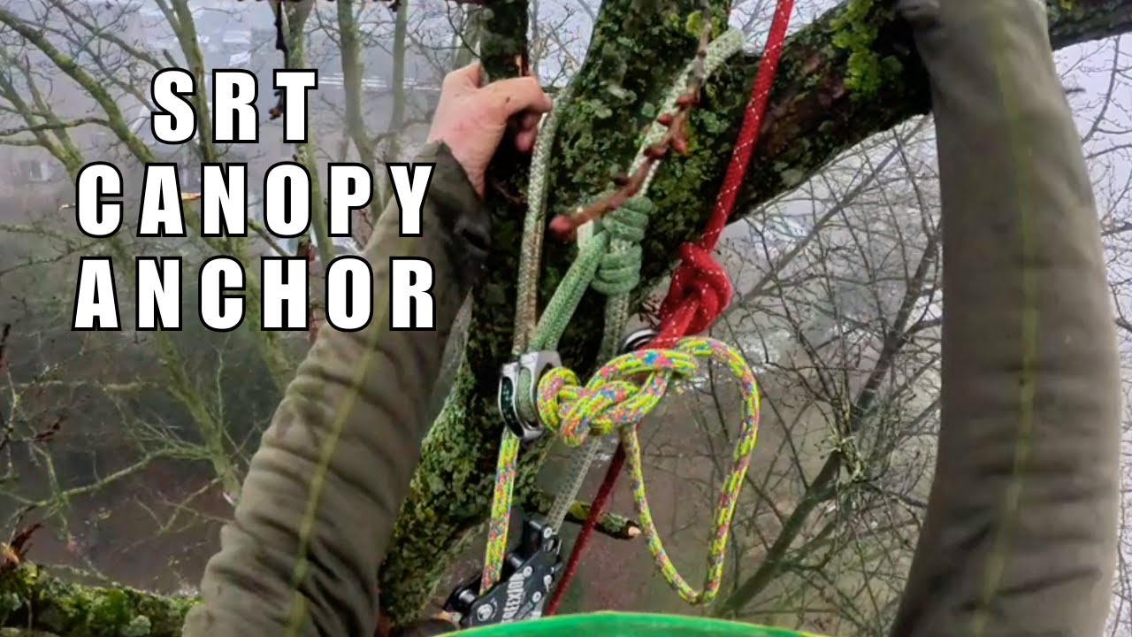 SRT canopy anchor with cambium saver: setup and retrieval (+ beasthorn redirects and Captain Hook)