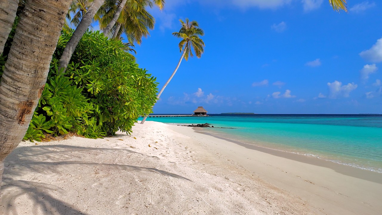 Paradise Found: Ocean and Wild Beach! Maldives 4K ULTRA HD