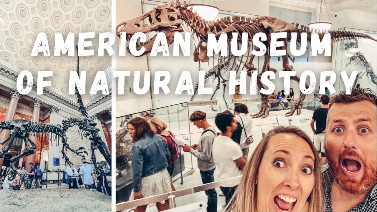 American Museum of Natural History | 1 hour to explore (For Free) 