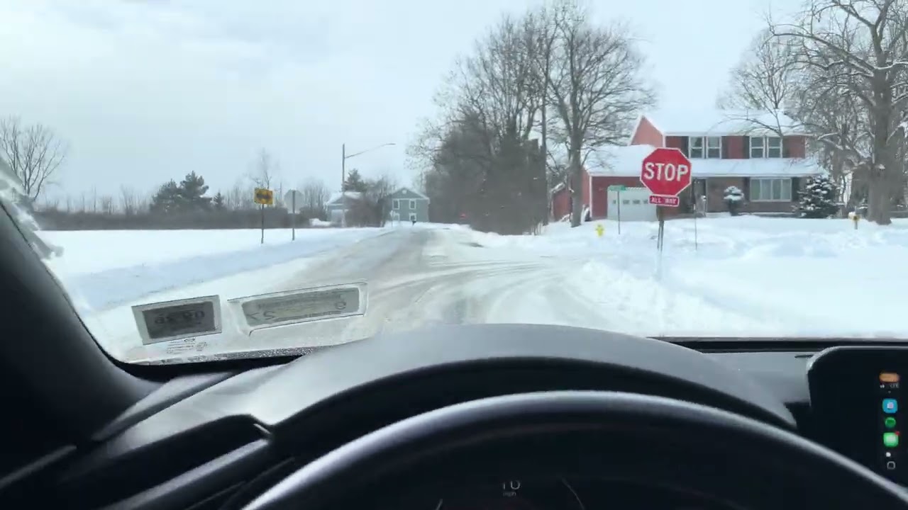 Minecraft music in the snow