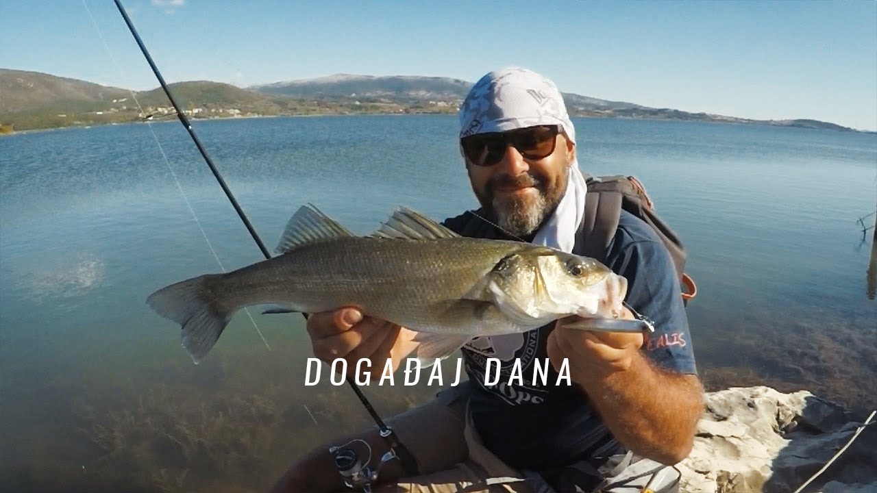 Događaj Dana