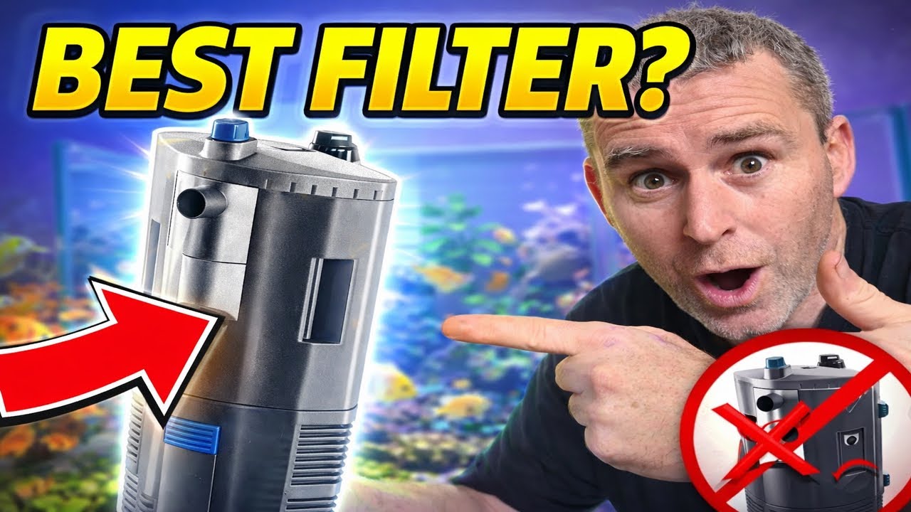 The Best Internal Fish Tank Filter &ndash; Easy Setup & Maintenance
