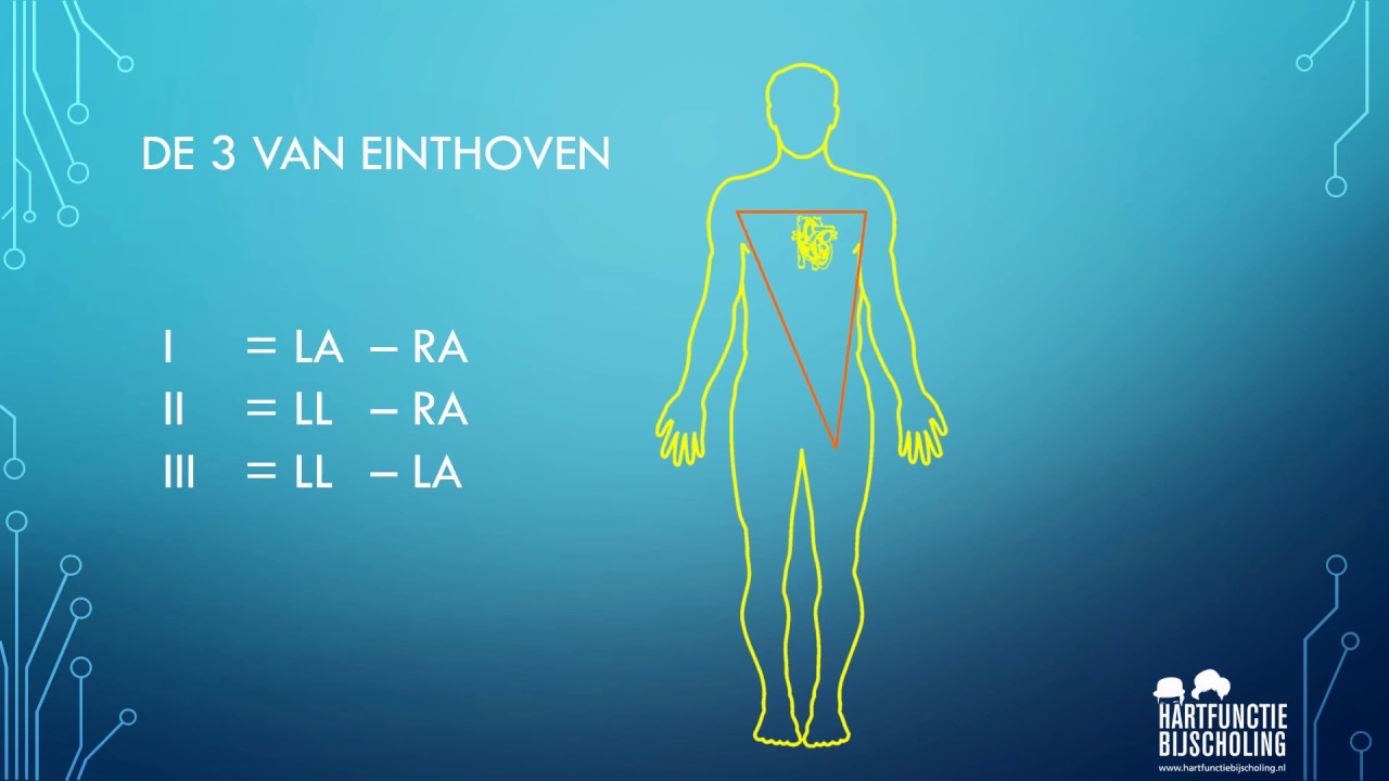 De basis van het ECG