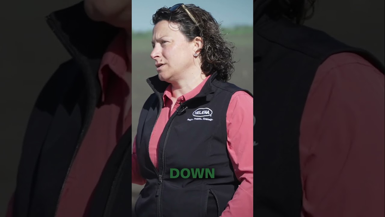 Cost-Effective Farming: How Adjuvants Save Money