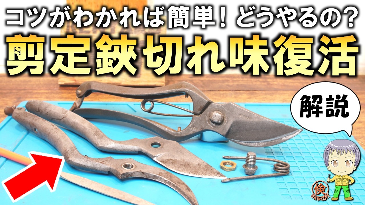 これは覚えたい！コツがわかれば超簡単！剪定ばさみの切れ味復活方法をご紹介します！