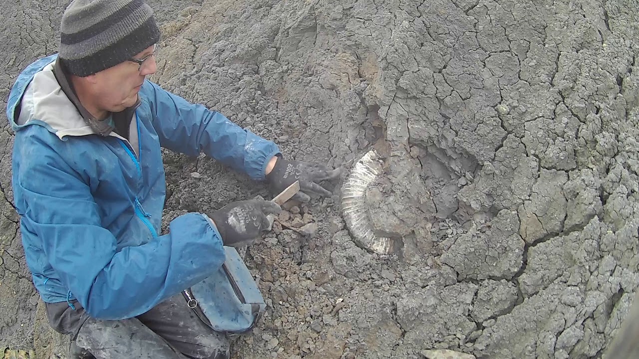 Fossil Hunting Episode 35, Part2 -  Speeton 06.05.19