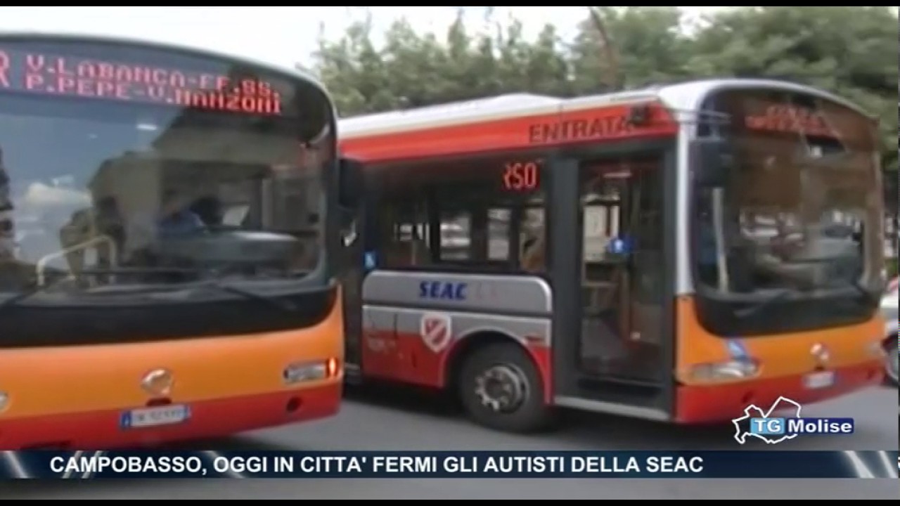 Campobasso, oggi in città fermi gli autisti della SEAC